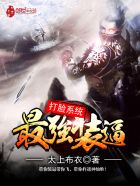 最强反套路系统观看动漫