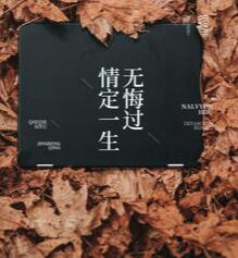 荣昭南宁媛小说完整版